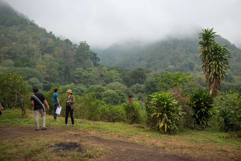 ดูพื้นที่เตรียมปลูกป่า